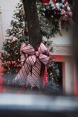 Red and white striped Christmas bow tied around a tree trunk, with holiday greenery and twinkling lights decorating a New York City townhouse in the background.